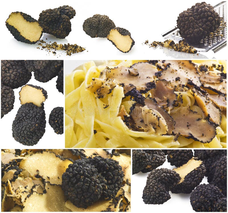 De collage van truffels royalty-vrije stock afbeeldingen De collage van truffels royalty-vrije stock afbeeldingen