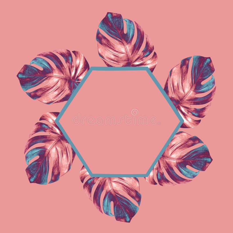 De color trendy con dorado bronce con hojas de monstera azul sobre fondo rosa con maquillaje hexagonal en el centro imagen de archivo De color trendy con dorado bronce con hojas de monstera azul sobre fondo rosa con maquillaje hexagonal en el centro imagen de archivo