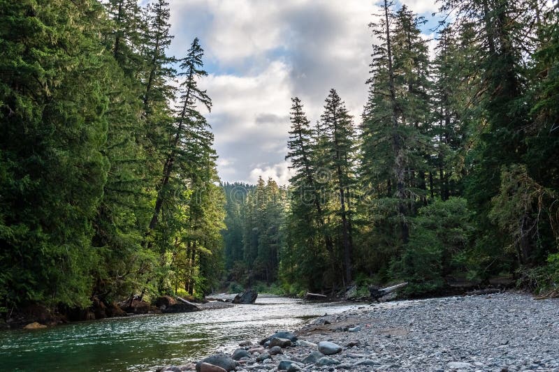 De Cowlitz-Rivier in Washington royalty-vrije stock foto De Cowlitz-Rivier in Washington royalty-vrije stock foto