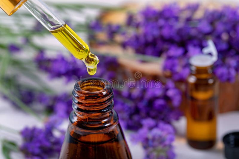 Lavender essential oil drop from pipette over the bottle closeup. Lavender essential oil drop from pipette over the bottle closeup