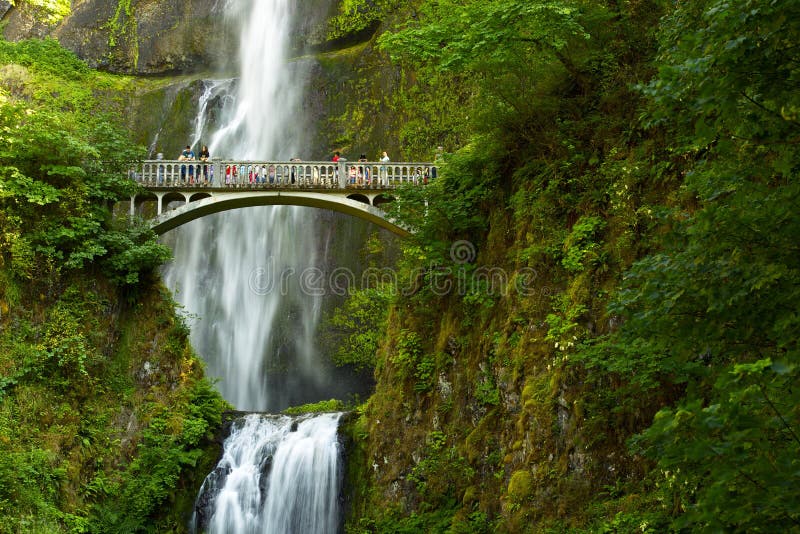 De Dalingen van Oregon Multnomah royalty-vrije stock foto De Dalingen van Oregon Multnomah royalty-vrije stock foto