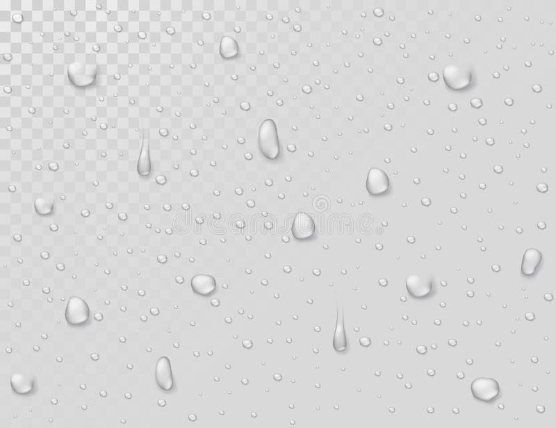 De dalingen van de waterregen Druppeltjes op transparant nat glasvenster Photorealistic waterdouche laat vallen vectorachtergrond royalty-vrije illustratie De dalingen van de waterregen Druppeltjes op transparant nat glasvenster Photorealistic waterdouche laat vallen vectorachtergrond royalty-vrije illustratie