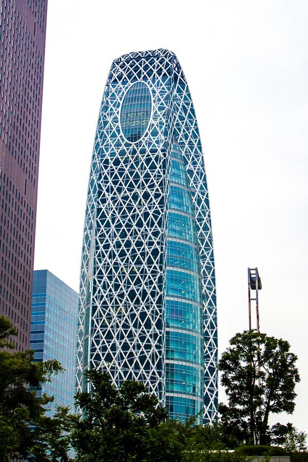 De de Cocontoren van Wijzegakuen in Tokyo royalty-vrije stock fotografie De de Cocontoren van Wijzegakuen in Tokyo royalty-vrije stock fotografie