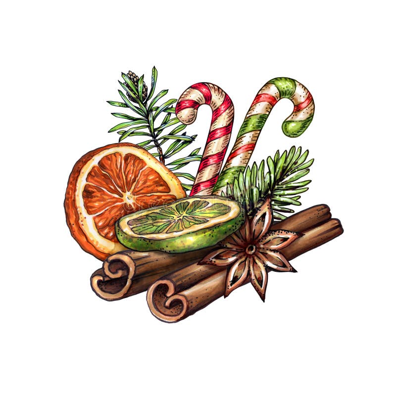 Watercolor Christmas decoration, festive food illustration, dried orange fruit, cinnamon sticks, anise, candy cane, winter holiday clip art isolated on white background. Watercolor Christmas decoration, festive food illustration, dried orange fruit, cinnamon sticks, anise, candy cane, winter holiday clip art isolated on white background