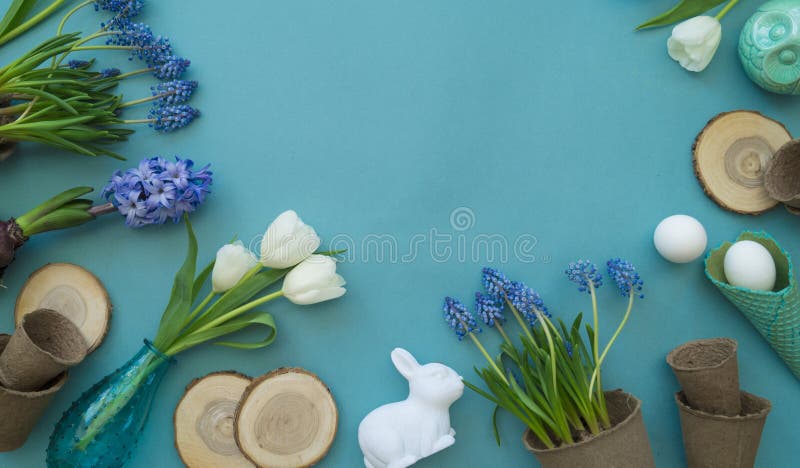 De decoratieve samenstelling van Pasen op een blauwe achtergrond Witte tulpen, bloempotten, unpainted eieren en een boom royalty-vrije stock fotografie De decoratieve samenstelling van Pasen op een blauwe achtergrond Witte tulpen, bloempotten, unpainted eieren en een boom royalty-vrije stock fotografie