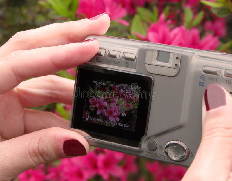 Prosumer digitale camera stock afbeeldingen