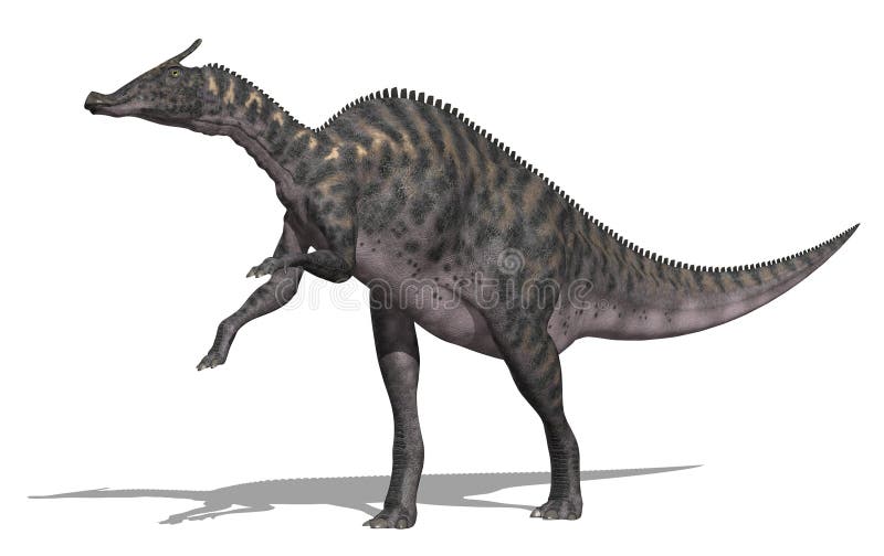 De Dinosaurus van Saurolophus royalty-vrije illustratie De Dinosaurus van Saurolophus royalty-vrije illustratie
