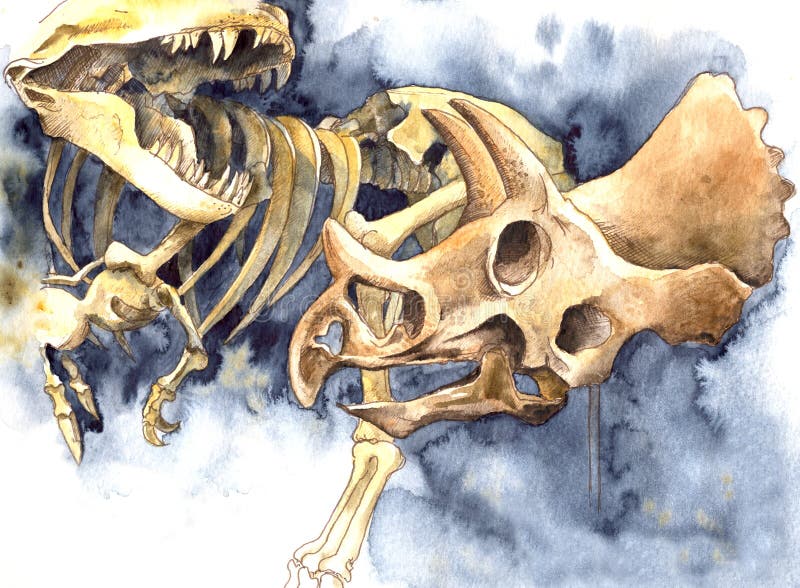 De dinosaurusbeenderen van de waterverfillustratie van museum vector illustratie De dinosaurusbeenderen van de waterverfillustratie van museum vector illustratie