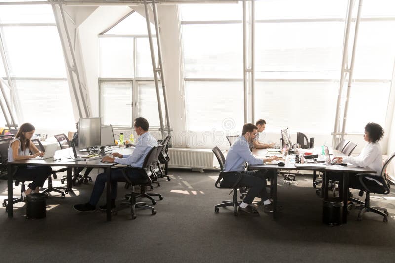 De diverse werknemers concentreerden zich bij het werken aan Desktops in gedeelde offic stock afbeeldingen De diverse werknemers concentreerden zich bij het werken aan Desktops in gedeelde offic stock afbeeldingen