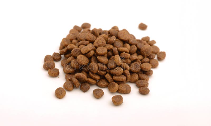 De droge kat of de hondevoer verbrokkelt binnen vorm stock afbeelding De droge kat of de hondevoer verbrokkelt binnen vorm stock afbeelding