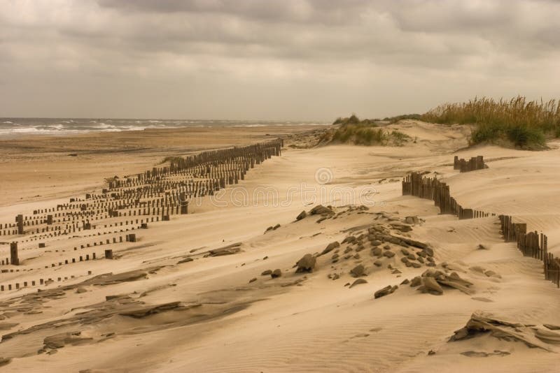 De Duinen van het Eiland van de erwt 001a stock fotografie De Duinen van het Eiland van de erwt 001a stock fotografie