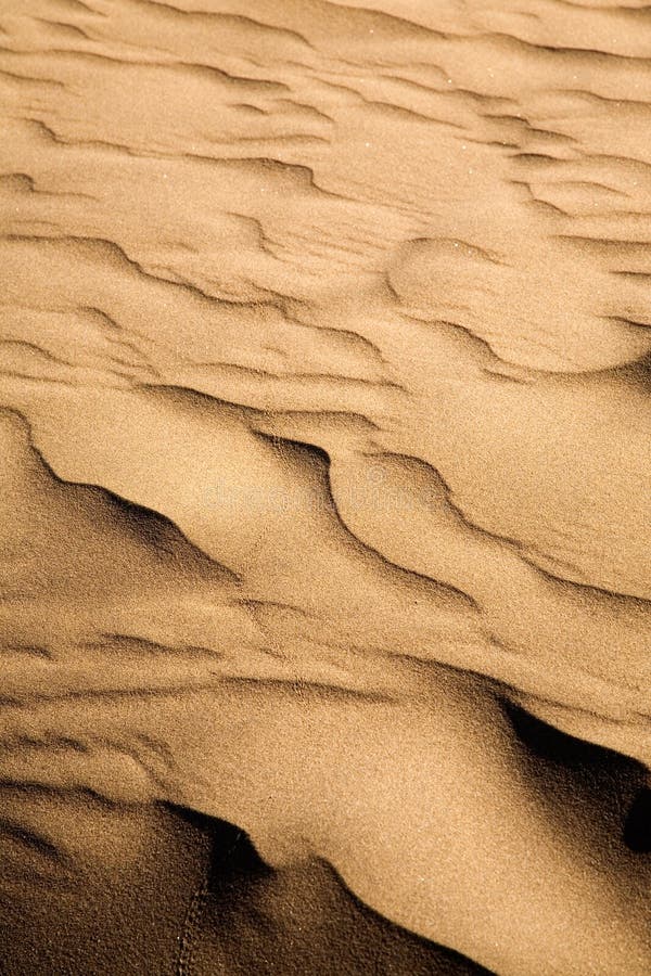 De duinen van het zand