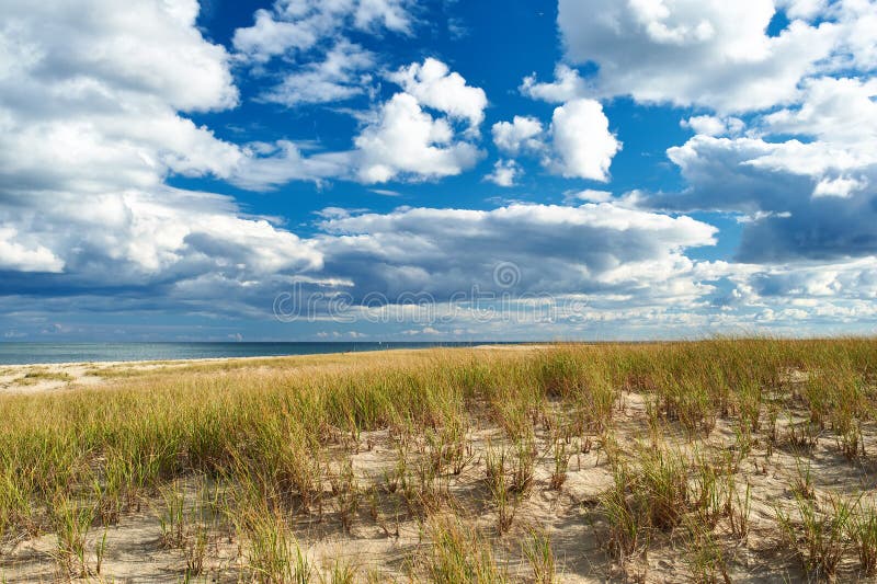 De duinen van het zand in Cape Cod royalty-vrije stock afbeeldingen De duinen van het zand in Cape Cod royalty-vrije stock afbeeldingen