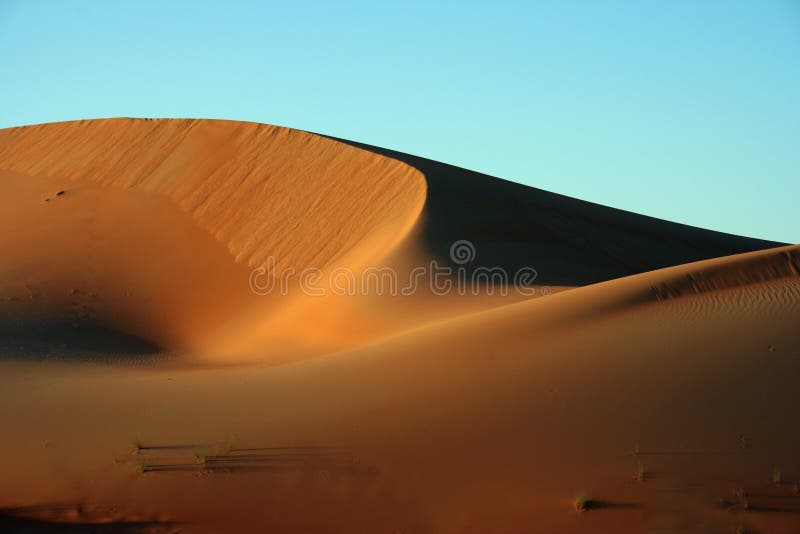 De duinen van het zand in woestijn