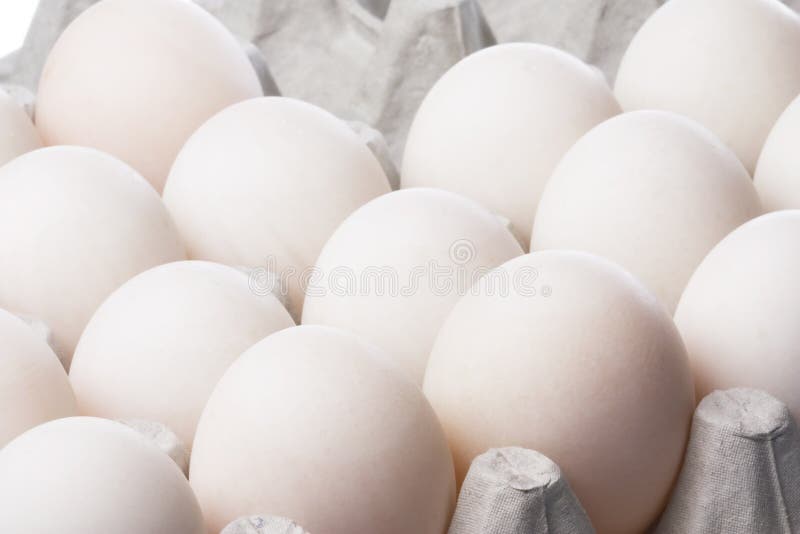 De Eieren van de eend stock afbeelding De Eieren van de eend stock afbeelding