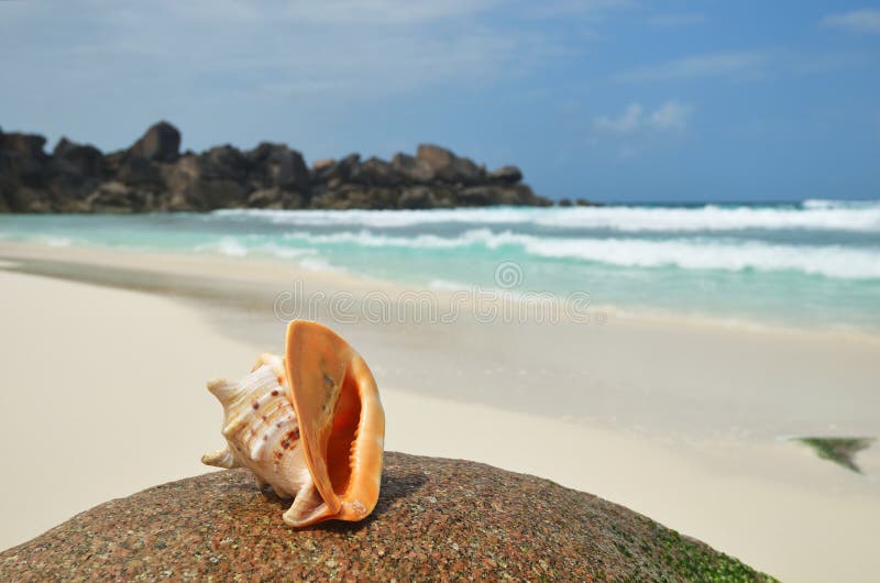 De eilanden van Seychellen, La Digue, Groot Anse-strand royalty-vrije stock foto's De eilanden van Seychellen, La Digue, Groot Anse-strand royalty-vrije stock foto's