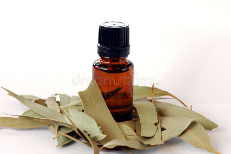 De Essentiële Olie van de eucalyptus royalty-vrije stock foto's De Essentiële Olie van de eucalyptus royalty-vrije stock foto's