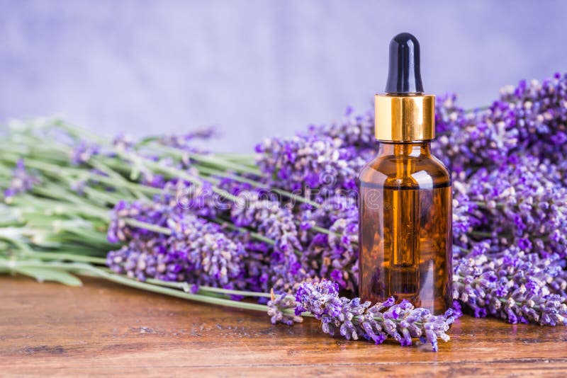 Lavender essential oil natural face and body beauty care treatment remedies. Lavender essential oil natural face and body beauty care treatment remedies.