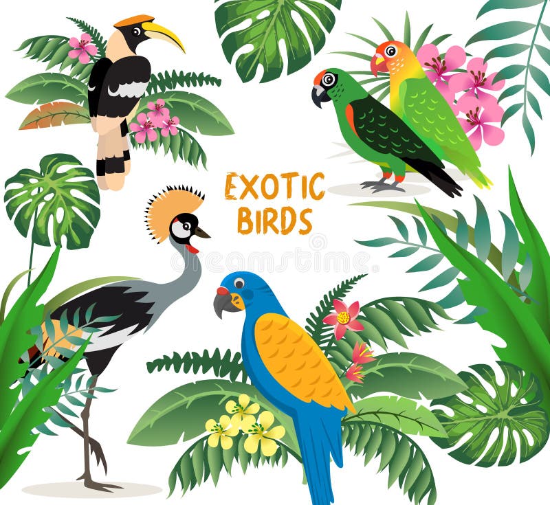 De exotische vogels plaatsen, bekroond kraan, kleurrijk papegaaiendwergpapegaaien en blauw met gele vleugelsara, vriendschappelij vector illustratie De exotische vogels plaatsen, bekroond kraan, kleurrijk papegaaiendwergpapegaaien en blauw met gele vleugelsara, vriendschappelij vector illustratie