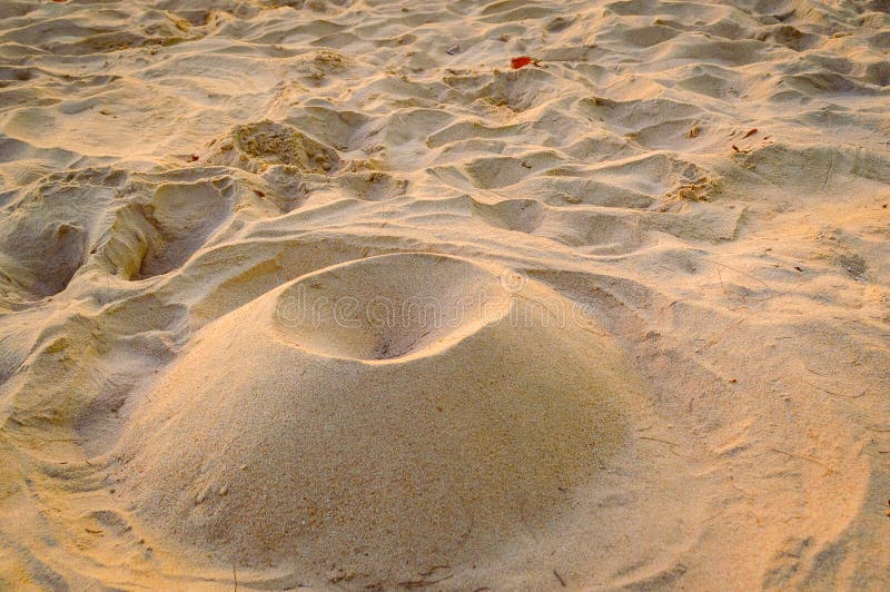 De fijne structuur van het strandzand in de de zomerzon stock fotografie De fijne structuur van het strandzand in de de zomerzon stock fotografie