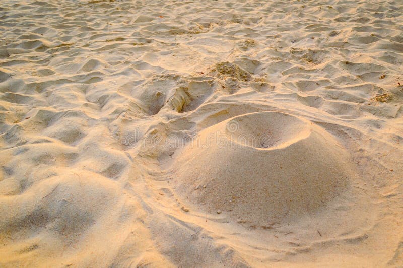 De fijne structuur van het strandzand in de de zomerzon stock foto De fijne structuur van het strandzand in de de zomerzon stock foto