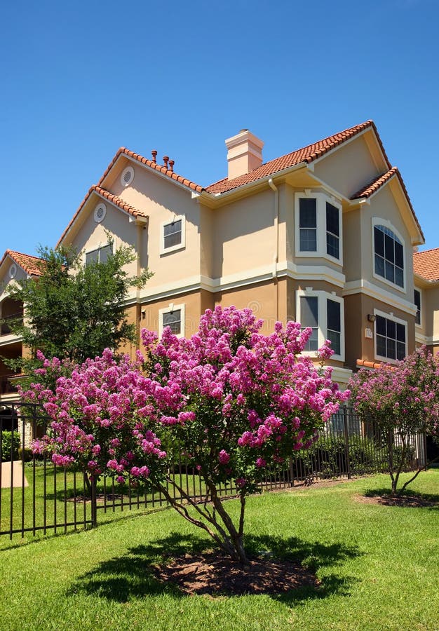 Luxury apartments (condo) building in sunny spring day with blooming tree in front. Luxury apartments (condo) building in sunny spring day with blooming tree in front