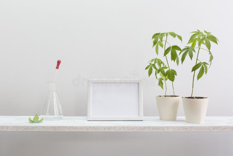 De fles van het glasdruppelbuisje met CBD-olieglazen buizen royalty-vrije stock foto De fles van het glasdruppelbuisje met CBD-olieglazen buizen royalty-vrije stock foto