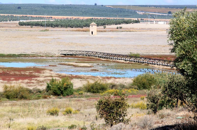 de fuente κοντά στον υγρότοπο της Ισπανίας piedra στοκ εικόνα με δικαίωμα ελεύθερης χρήσης de fuente κοντά στον υγρότοπο της Ισπανίας piedra στοκ εικόνα με δικαίωμα ελεύθερης χρήσης