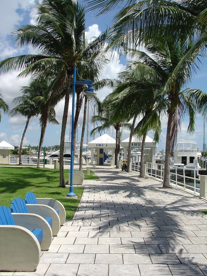 De Gang van de Jachthaven van Miami royalty-vrije stock afbeeldingen De Gang van de Jachthaven van Miami royalty-vrije stock afbeeldingen