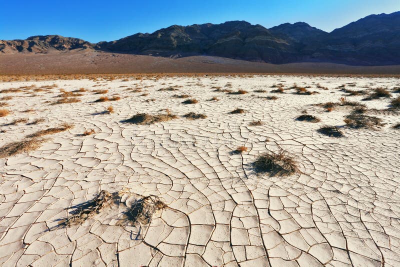The cracked dry ground in desert of National park Dead Walley. The cracked dry ground in desert of National park Dead Walley