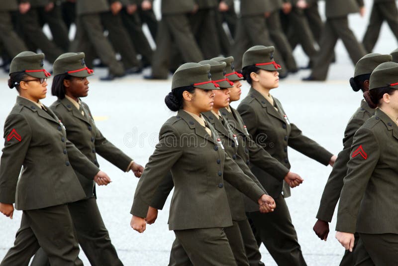 De Gediplomeerden van de Marine van Verenigde Staten in stap stock afbeelding De Gediplomeerden van de Marine van Verenigde Staten in stap stock afbeelding