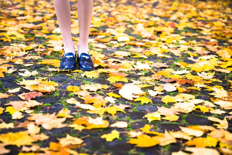 De gelukkige glimlach van het tienermeisje tijdens het lopen op de herfstpark royalty-vrije stock foto De gelukkige glimlach van het tienermeisje tijdens het lopen op de herfstpark royalty-vrije stock foto