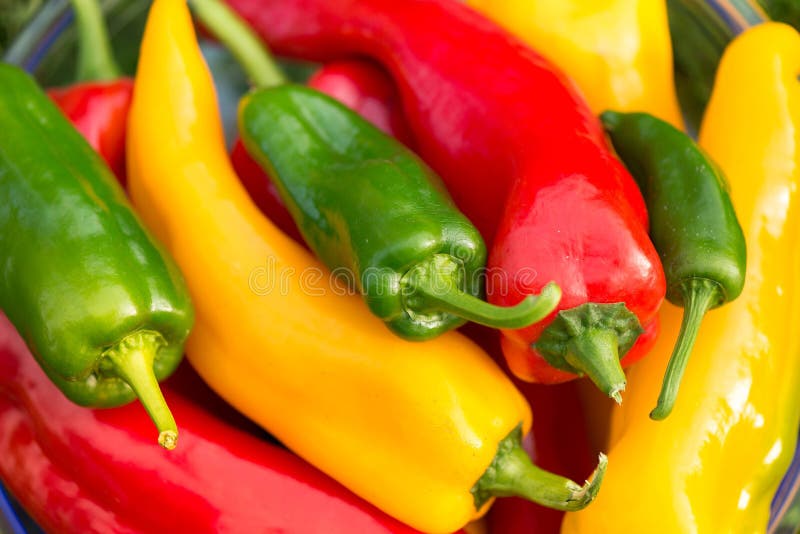 De geplukte, rode, groene en gele paprika's van de de zomeroogst vers, die in gras in tuin leggen stock afbeelding De geplukte, rode, groene en gele paprika's van de de zomeroogst vers, die in gras in tuin leggen stock afbeelding