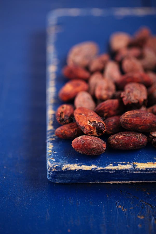 De geroosterde bonen van de cacaochocolade op donkerblauw hout stock afbeeldingen De geroosterde bonen van de cacaochocolade op donkerblauw hout stock afbeeldingen