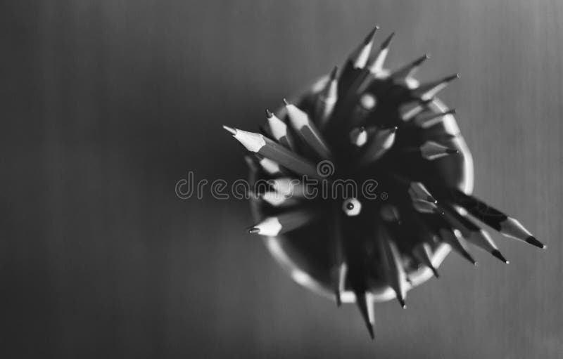 De gescherpte Potloodhouder levert Hulpmiddelconcept royalty-vrije stock afbeelding De gescherpte Potloodhouder levert Hulpmiddelconcept royalty-vrije stock afbeelding
