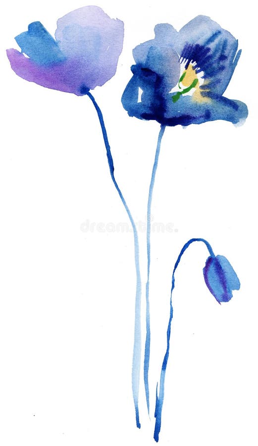 Stylized Blue Poppy flowers illustration. watercolor background. Stylized Blue Poppy flowers illustration. watercolor background.