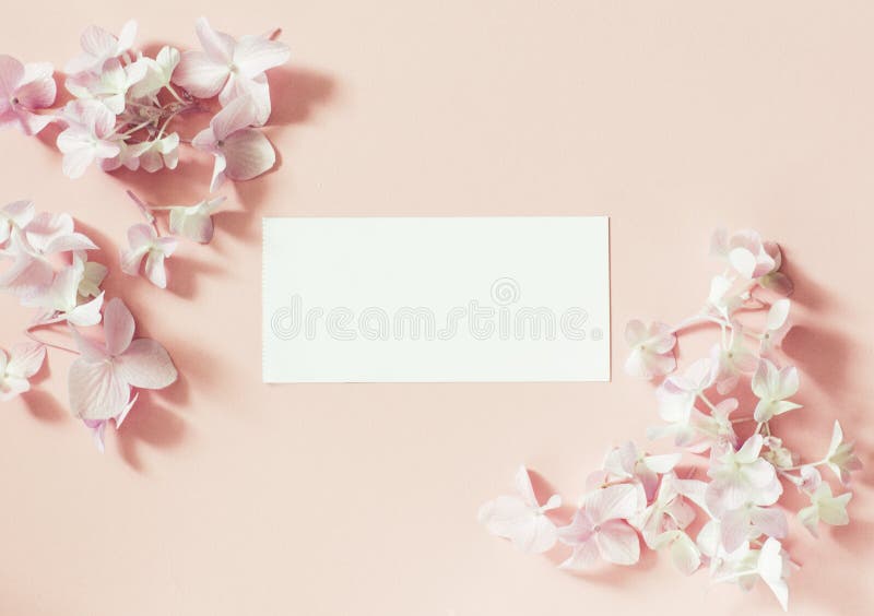White frame blank, pink flowers and petals for spa or wedding mockup. Beautiful floral pattern. White frame blank, pink flowers and petals for spa or wedding mockup. Beautiful floral pattern.