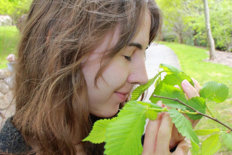 De geur van de lente stock afbeelding De geur van de lente stock afbeelding