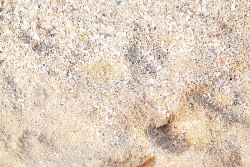 Textured wet sand background &#x28;sand, top, texture. Textured wet sand background &#x28;sand, top, texture