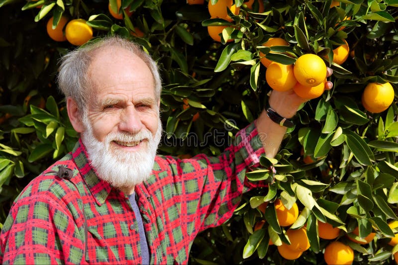 De glimlachende oude landbouwer toont oranje fruit