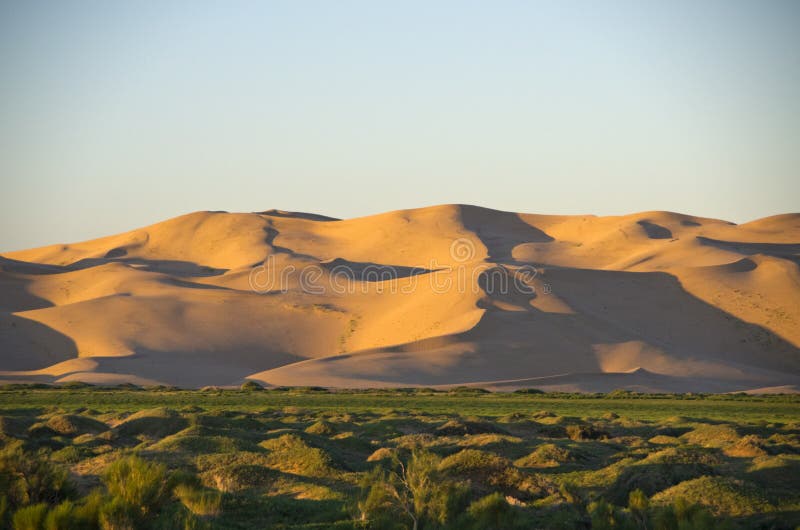 Sand Dunes in the Goby Desert, Khongoriin, Mongolia. Sand Dunes in the Goby Desert, Khongoriin, Mongolia