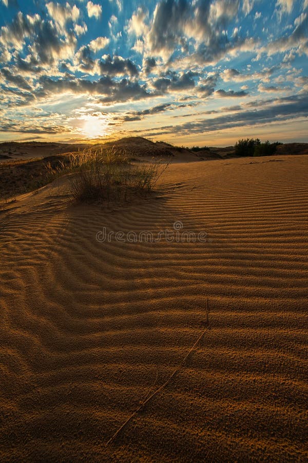 De golvende woestijn van het duinzand bij de zon van de zonsondergangzomer stock afbeelding De golvende woestijn van het duinzand bij de zon van de zonsondergangzomer stock afbeelding