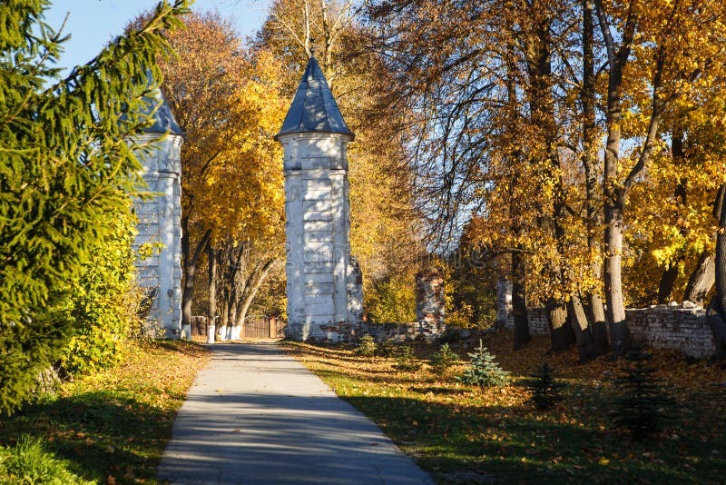 De gouden herfst, gele bomen in zonlicht, underfoot bladeren stock afbeeldingen De gouden herfst, gele bomen in zonlicht, underfoot bladeren stock afbeeldingen