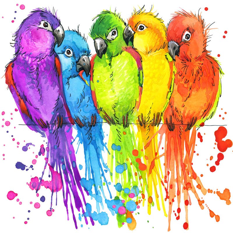 Funny colorful parrots with watercolor splash textured background. fashion print. Funny colorful parrots with watercolor splash textured background. fashion print