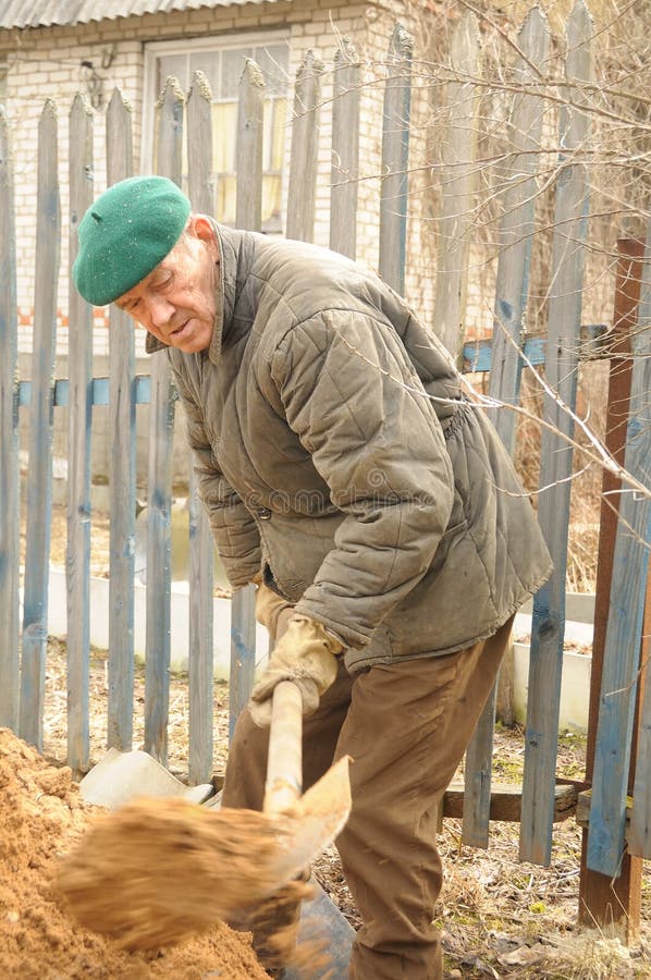Old man digging ground spade. Old man digging ground spade