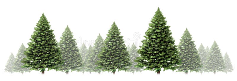 De Grens van de Winter van de Boom van de pijnboom stock illustratie De Grens van de Winter van de Boom van de pijnboom stock illustratie