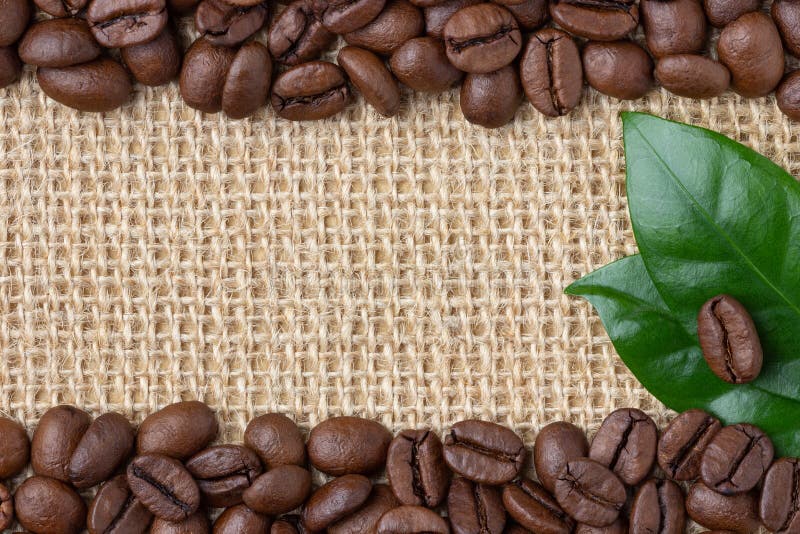 De grens van de koffie Bonen en blad over juteachtergrond royalty-vrije stock foto De grens van de koffie Bonen en blad over juteachtergrond royalty-vrije stock foto