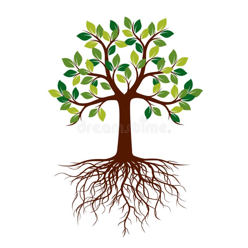De groene Boom van de Lente Vector illustratie royalty-vrije illustratie De groene Boom van de Lente Vector illustratie royalty-vrije illustratie