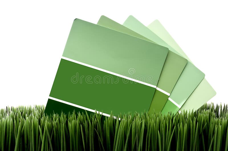 Groene verfstaaltjes op groen gras stock foto