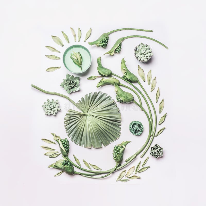 De groene tropische bladeren en van krulbloemen samenstelling met waterkom op witte achtergrond, hoogste vlakke mening, legt Conc stock foto's De groene tropische bladeren en van krulbloemen samenstelling met waterkom op witte achtergrond, hoogste vlakke mening, legt Conc stock foto's